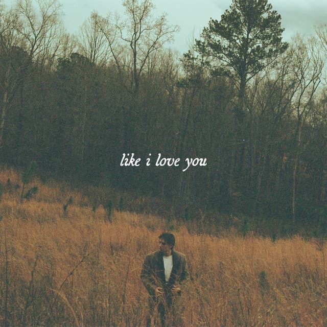 like i love you — Ryley Tate Wilson