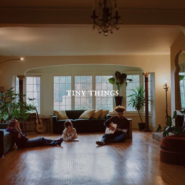 Tiny Things — Tiny Habits